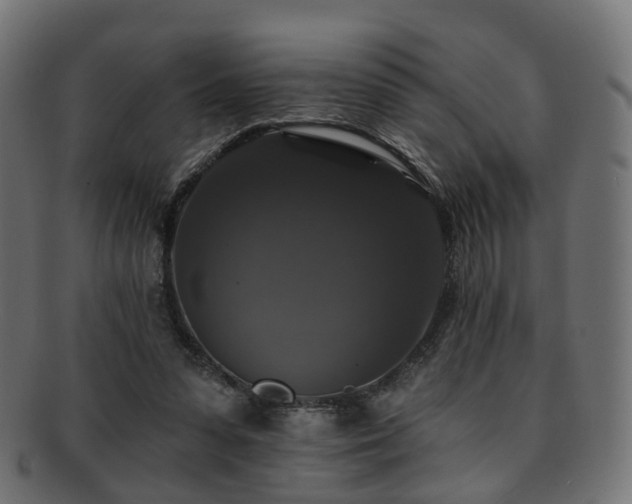 X0000092320303200709141418