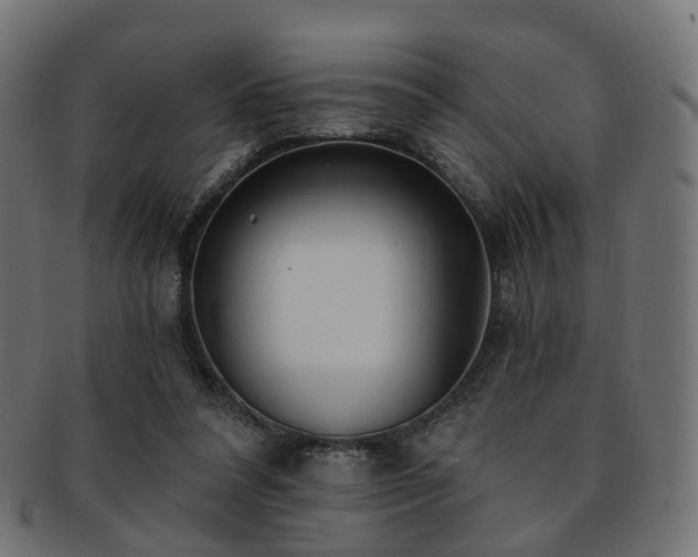 X0000092320304200709141418