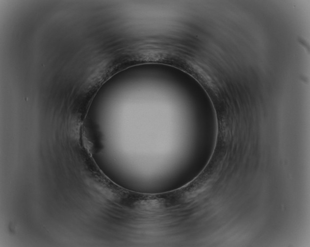 X0000092320307200709141418