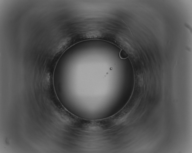 X0000092320308200709141418