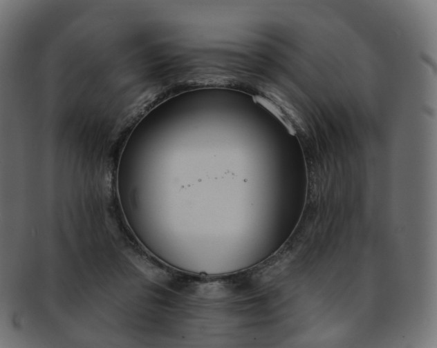 X0000092320309200709141418