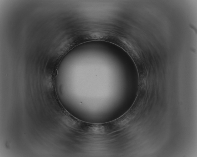 X0000092320317200709141418