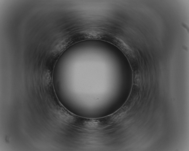 X0000092320318200709141418