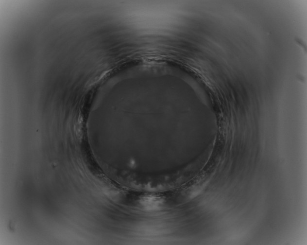 X0000092320319200709141418