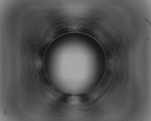 X0000092320324200709141418