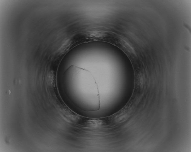 X0000092320328200709141418