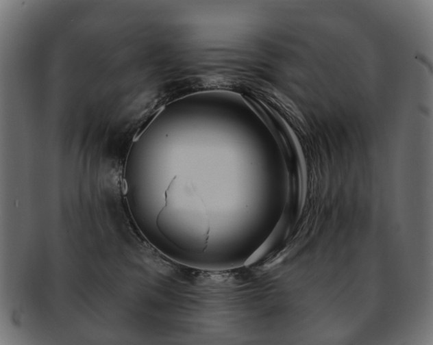 X0000092320329200709141418