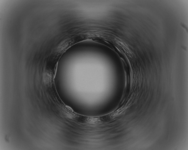 X0000092320333200709141418