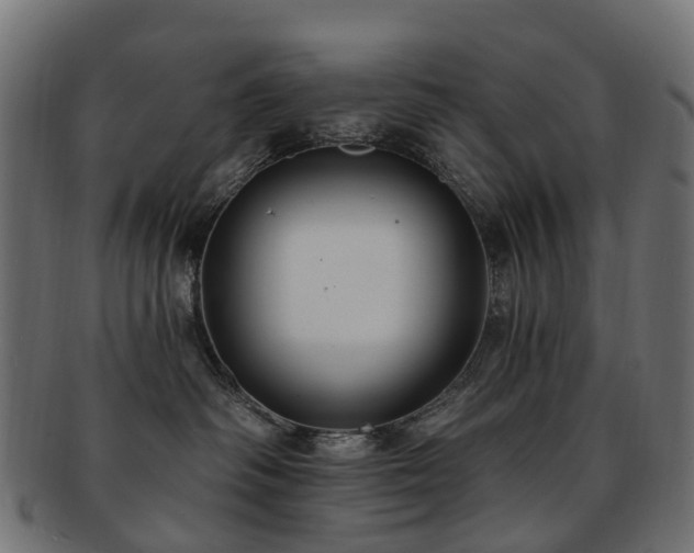 X0000092320334200709141418