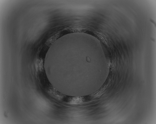 X0000092320335200709141418