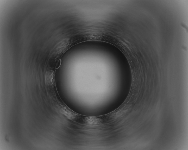 X0000092320336200709141418