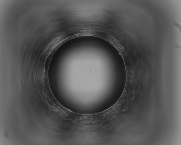 X0000092320338200709141417