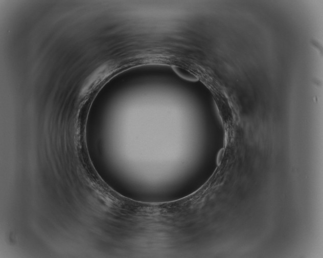 X0000092320339200709141417
