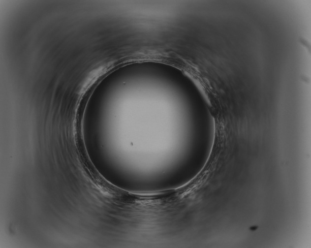 X0000092320340200709141417