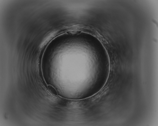 X0000092320341200709141417