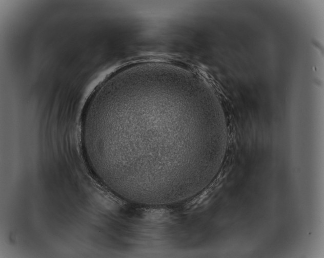 X0000092320342200709141417