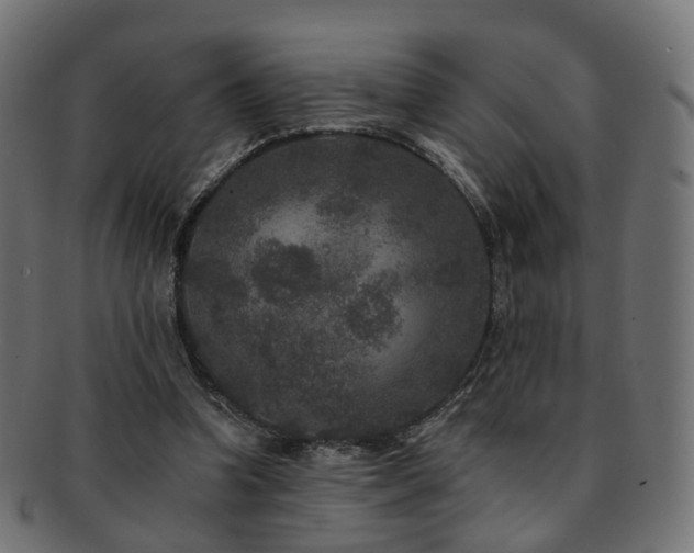 X0000092320346200709141417
