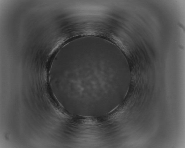 X0000092320347200709141417