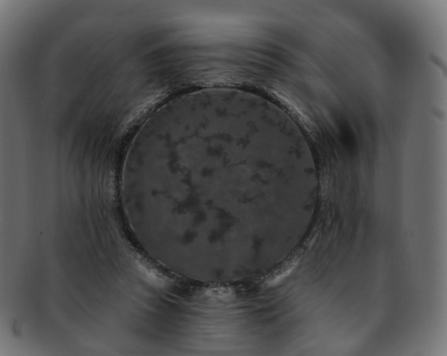 X0000092320353200709141417