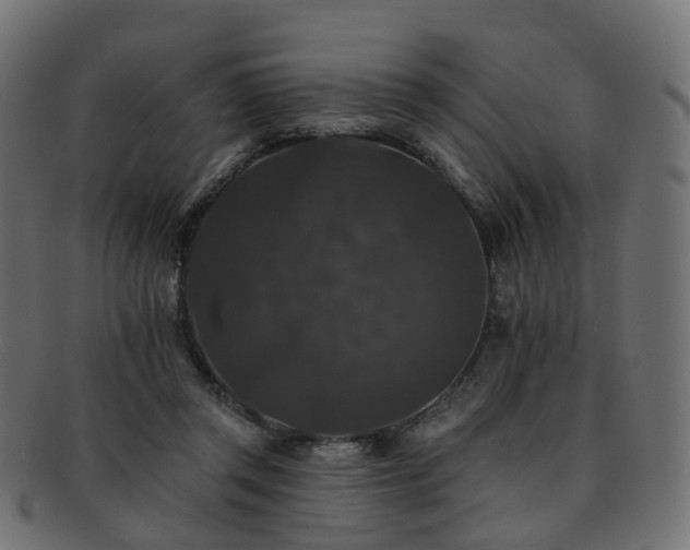 X0000092320357200709141417