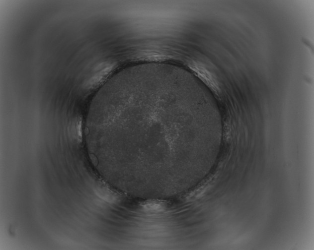 X0000092320358200709141417