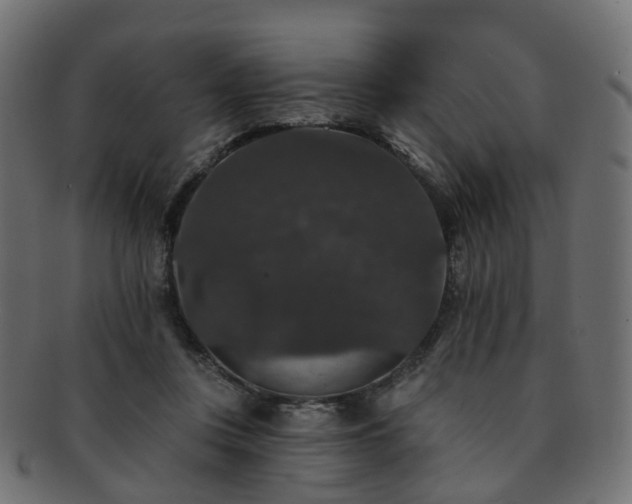 X0000092320359200709141417