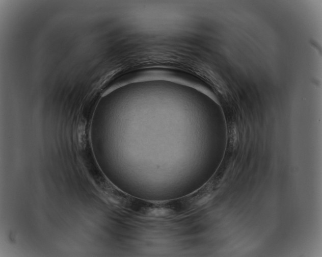 X0000092320360200709141417
