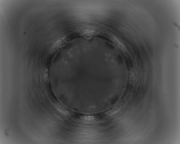 X0000092320361200709141417