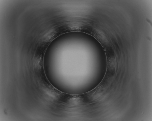 X0000092320364200709141417