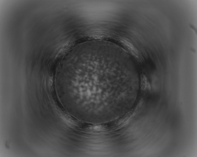 X0000092320365200709141417