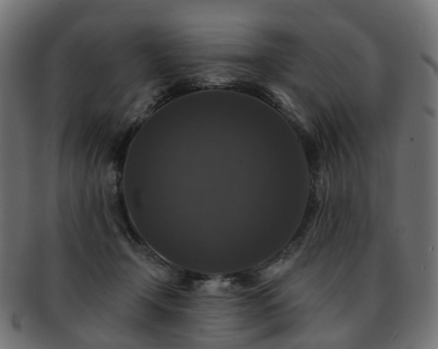 X0000092320366200709141417