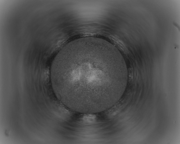 X0000092320369200709141417