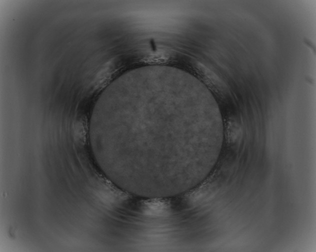 X0000092320370200709141417