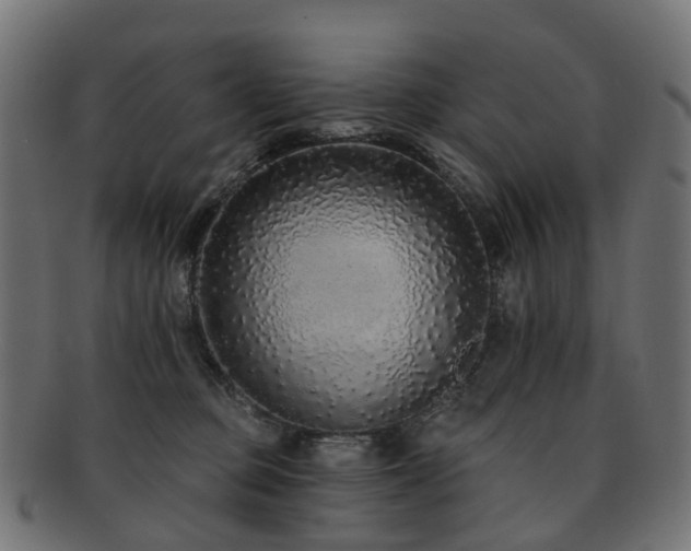 X0000092320373200709141417