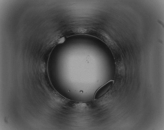 X0000092320374200709141417