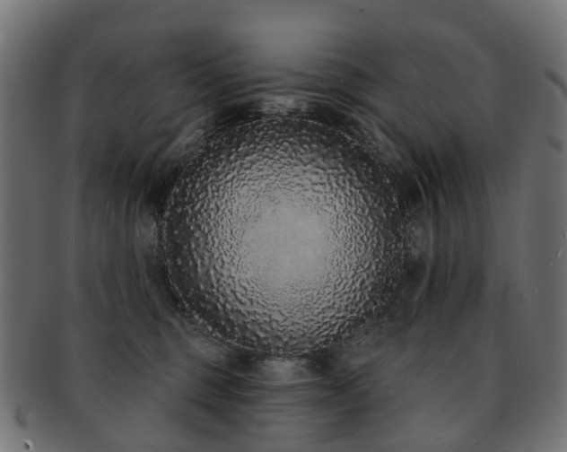 X0000092320375200709141417