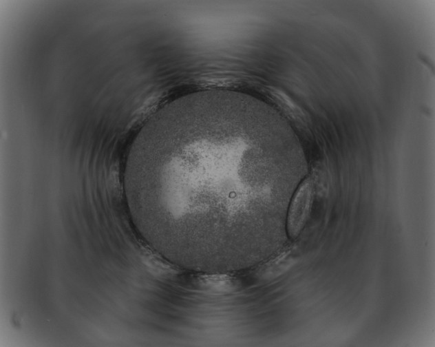 X0000092320377200709141417