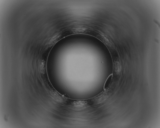 X0000092320378200709141417