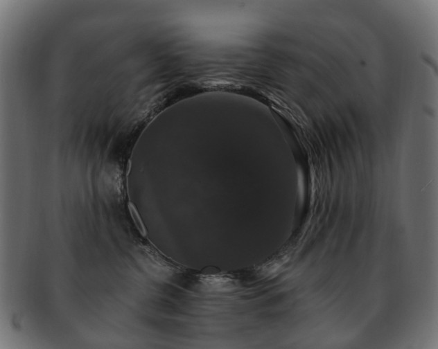 X0000092320380200709141417