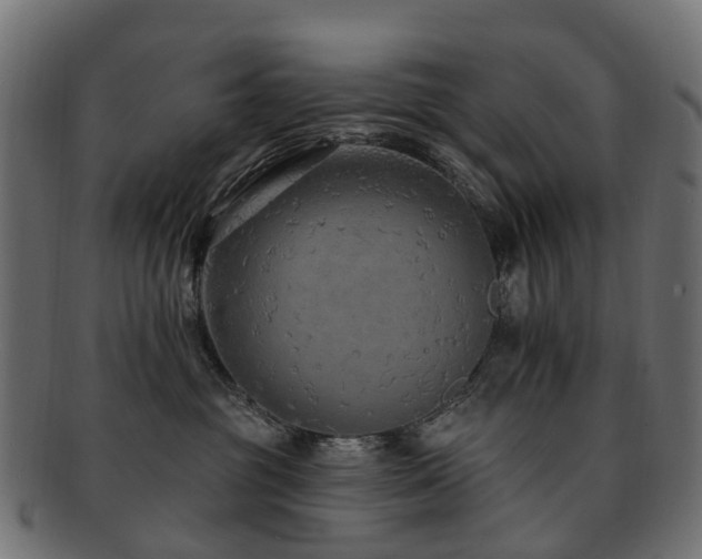 X0000092320381200709141417