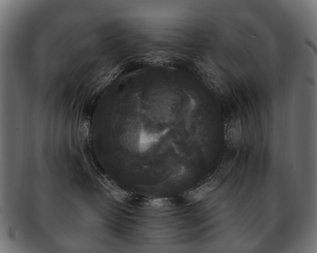 X0000092320382200709141417
