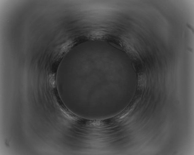 X0000092320383200709141418