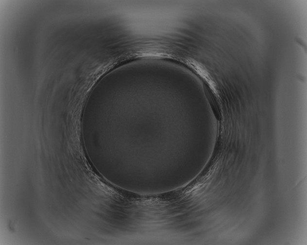 X0000092320385200709141417