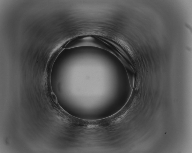 X0000092320388200709141417