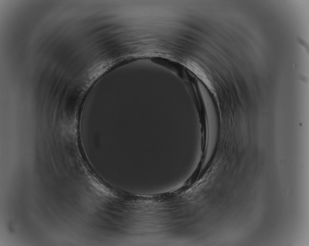 X0000092320389200709141417