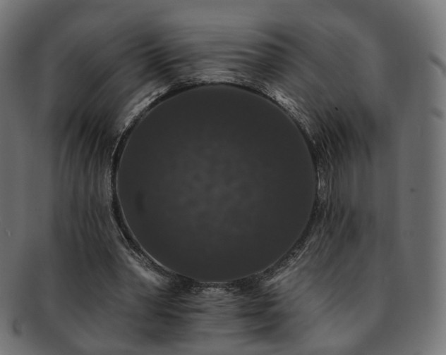 X0000092320390200709141417