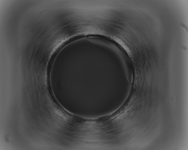 X0000092320391200709141417