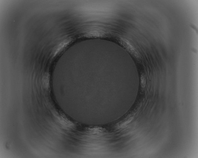 X0000092320396200709141417