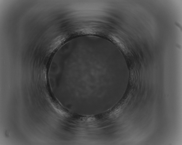X0000092320398200709141417