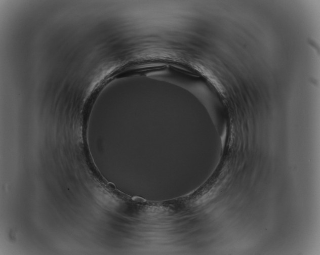 X0000092320399200709141417